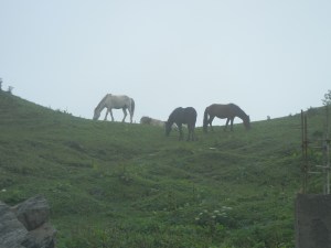 The constantly changing fog cover just added to the magic.