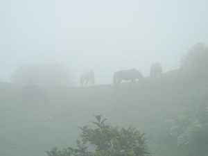 And this was the view!