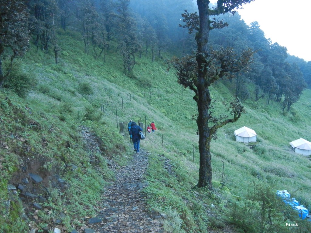 My Himalayan Odyssey Part 7 – Camping with spiders and a little brown&nbsp;mouse