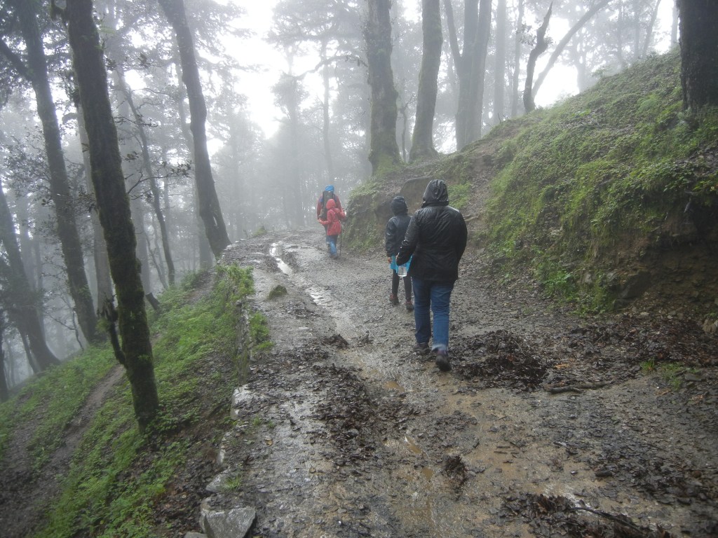 Walking towards the car.