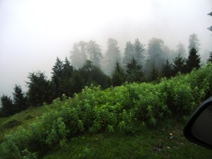 ???????????????????????????????