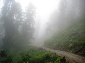 With apologies to Robert Frost - the road not taken all that often.