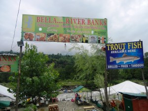 Fresh Trout at Bella... River Bank