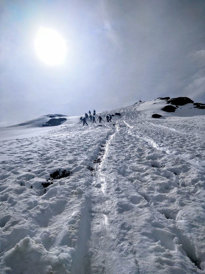 12494866_1038153172897012_106219372175496691_n