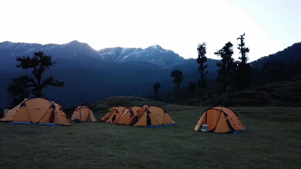 12799411_10153375733901583_8840689304820313377_n