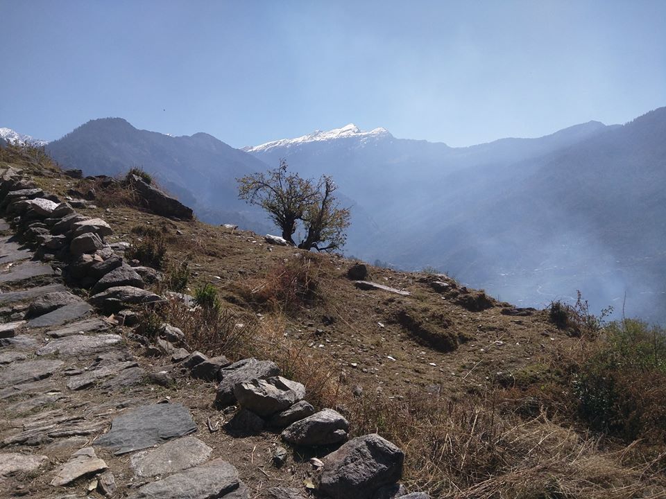 12936583_1038148772897452_1925692681591226162_n