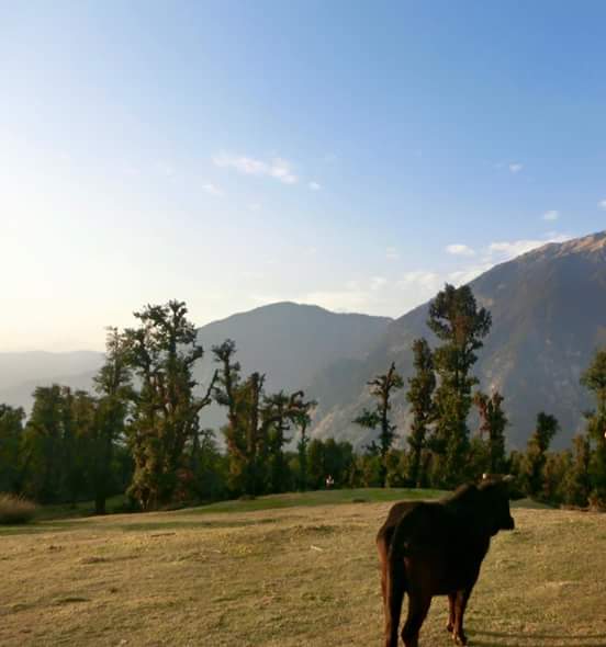 FB_IMG_1461497490837